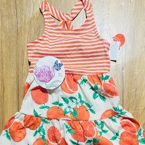 NWT 2T Wonder nation oranges dress